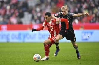 Duel, action Oscar Hojlund Eintracht Frankfurt SGE (06) against Jamal Musiala FC Bayern Munich FCB