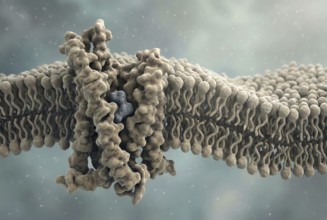 Molecular interaction of a drug with a specific cell receptor to represent targeted drug binding,