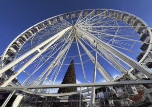 Ferris wheel in front of Christmas tree at Outlet Center Roermond, Factory Outlet Center, Designer