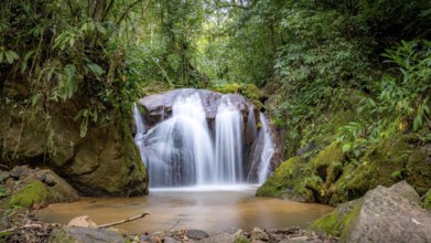 A tranquil waterfall cascades gently over moss-covered rocks surrounded by a dense, verdant forest