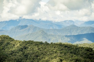 Lush green canopy foregrounds the majestic, blue-hued Andean mountains stretching under a cloudy