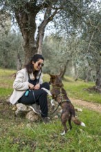 A woman sits on a rock under olive trees, training her dog to sit by offering a treat. The lush