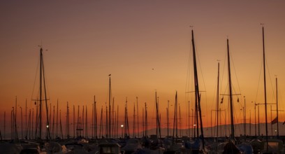 Serene sunset view over Lake Leman featuring multiple sailboat masts silhouetted against a vivid