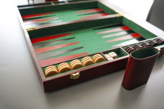 A detailed shot of a backgammon board, highlighting the checker pieces and dice inside a classic