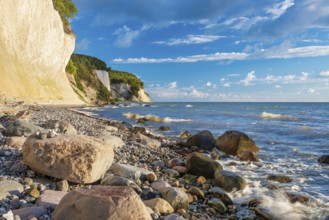 Chalk cliffs and rocky beach with boulders on the Baltic Sea under blue sky with cumulus clouds,