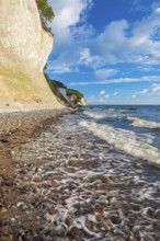 Chalk cliffs and rocky beach with boulders and tree trunks on the Baltic Sea under blue sky with