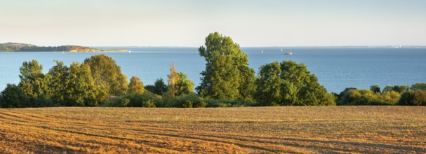 View of a ploughed field with a view of the Baltic Sea, Rügen Island, Mecklenburg-Western