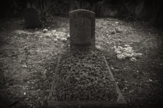 Snowdrop (Galanthus nivalis) gravestones, graves, Historic Old Cemetery, black and white, Fellbach,