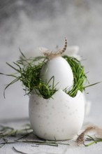 Elegant and simple Easter egg adorned with fresh green grass and delicate feathers, showcased on a