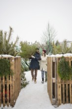 A couple strolls through a snowy Christmas fir farm, happily selecting their perfect tree