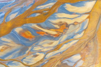 This image showcases a vibrant abstract design with swirling multicolor patterns, resembling fluid