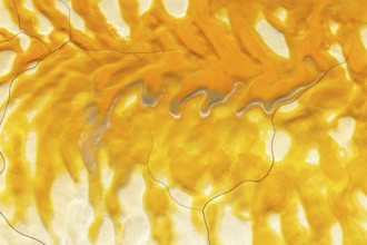 Vivid golden mud flows on a cracked, textured surface, creating an abstract and visually striking