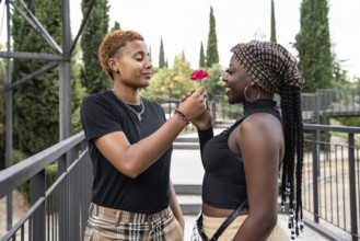 An LGBT multiethnic couple shares a tender moment in a serene park setting, exchanging a flower and