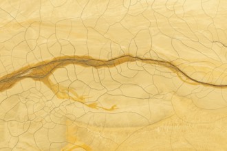 Intricate texture of golden mud with a distinct crack pattern that intertwines elegantly across the