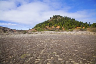 Captivating landscape of El Tanque, Tenerife, featuring the remnants of wheat hiking paths, lush