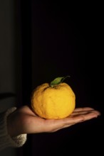 A hand gently cradles a ripe, yellow lemon with a single green leaf, set against a dark,