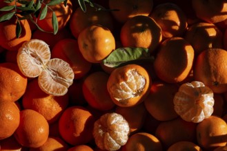 A collection of vibrant tangerines with some peeled, showcasing their juicy segments. Sunlight and