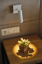 Modern hotel room detail featuring a sleek white wall lamp casting a warm glow on a wooden bedside