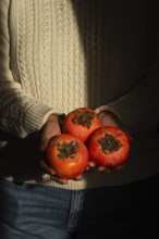 A person in a cozy knitted sweater holds three ripe persimmons close to their chest. The warm light