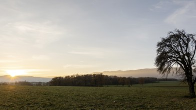 Captivating sunset scene over Lake Geneva with the Swiss Alps in the background, featuring a barren