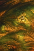 A stunning abstract of Riotinto river in Huelva, Spain, showcasing vivid orange and green hues The