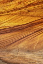 Intricate beauty of golden desert sandstone, showcasing its rich, wavy striped patterns, and