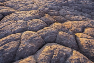 A detailed shot of rugged golden desert sandstone, illuminated by the warm glow of the setting sun,
