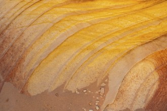 Close-up view of golden desert sandstone with natural striped patterns and textures in yellow and