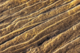 Intricate patterns and grooves in golden desert sandstone. The details reveal the natural beauty