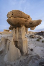 Explore the unique rock formations of Bisti De-Na-Zin Wilderness in New Mexico, USA Erosion and