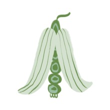 A vibrant illustration of green flowers with a whimsical, modern aesthetic The minimalist design