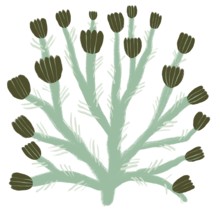 Illustration showcases a stylized depiction of green flowers in an abstract pattern The design