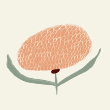 A minimalist, abstract illustration of a spring flower with a plush orange blossom and gentle green