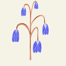 A stylized, minimalist illustration of blue spring flowers with a distinctive orange stem,
