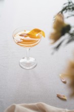 A sophisticated mandarin cocktail adorned with a vibrant orange peel zest, served in a classic stem