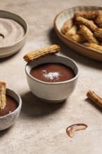Homemade churros dipped in rich chocolate sauce, sprinkled with sugar and cinnamon, presented on a