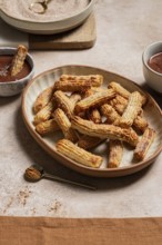 Ceramic plate of sugary churros paired with rich chocolate sauce, sprinkled with cinnamon, on a