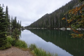 A serene, glass-like lake mirrors a lush pine forest under an overcast sky, tucked away in the
