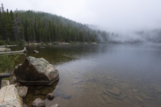 A foggy morning envelops a tranquil mountain lake surrounded by dense pine forests in Colorado,