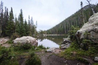 This image captures a peaceful morning at a serene lake surrounded by dense forests in the Rocky