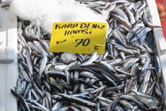 A sign advertising Black Sea Hamsi a type of Anchovy fish, for seventy Turkish Lira a kilo, prices