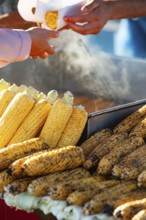 Istanbul, Turkey. June 7th 2019 Misir. Corn on the cob a traditional Turkish street food being sold