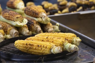 Tasty grilled sweet corn on the cob, a popular Turkish street food grilled and sold from street