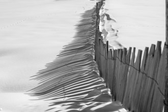 A black and white landscape of a wooden fence casting long shadows on smooth snow, creating a