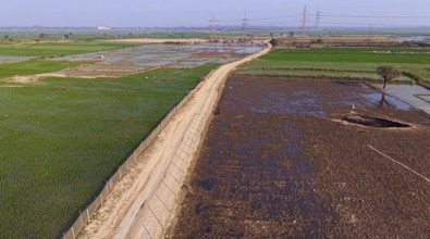 In an aerial view, people walk on a road cutting through rice paddy fields on February 16, 2026 in