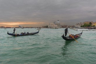 Gondolas in front of Venice, behind Santa Maria Della Salute, Veneto, Italy