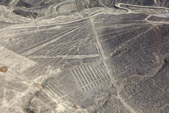 Aerial view of a desert region with numerous Nazca line patterns in Peru, the geoglyphs and images