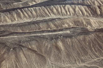 The famous geoglyphs from Nazca in Peru, captured from the air, The geoglyphs and paintings in the