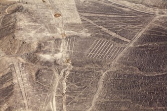 Impressive geoglyphs and line patterns in the dry Nazca Desert, The geoglyphs and drawings in the