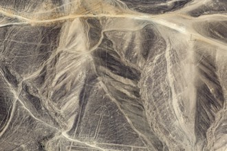 Geoglyphs and line patterns in the sandy and rocky landscape of Nazca, The geoglyphs and drawings